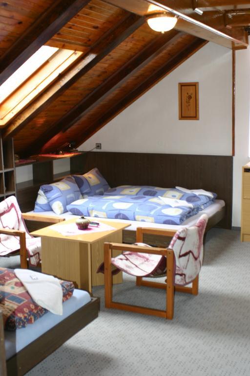Pension U Vlasku Karlovy Vary Szoba fotó