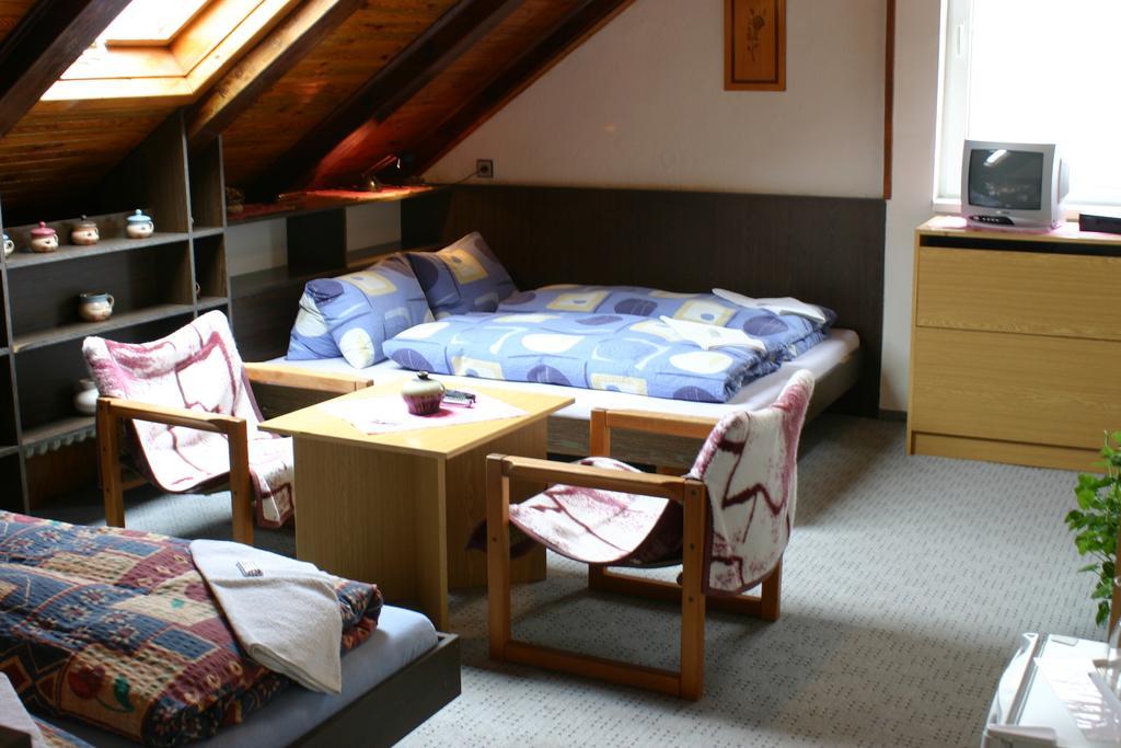 Pension U Vlasku Karlovy Vary Szoba fotó